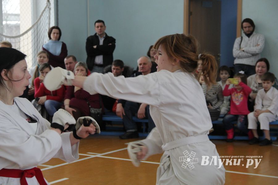 В Великих Луках прошел  турнир по Шотокан каратэ