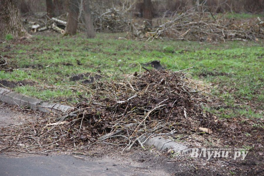 На острове Дятлинка проходит субботник