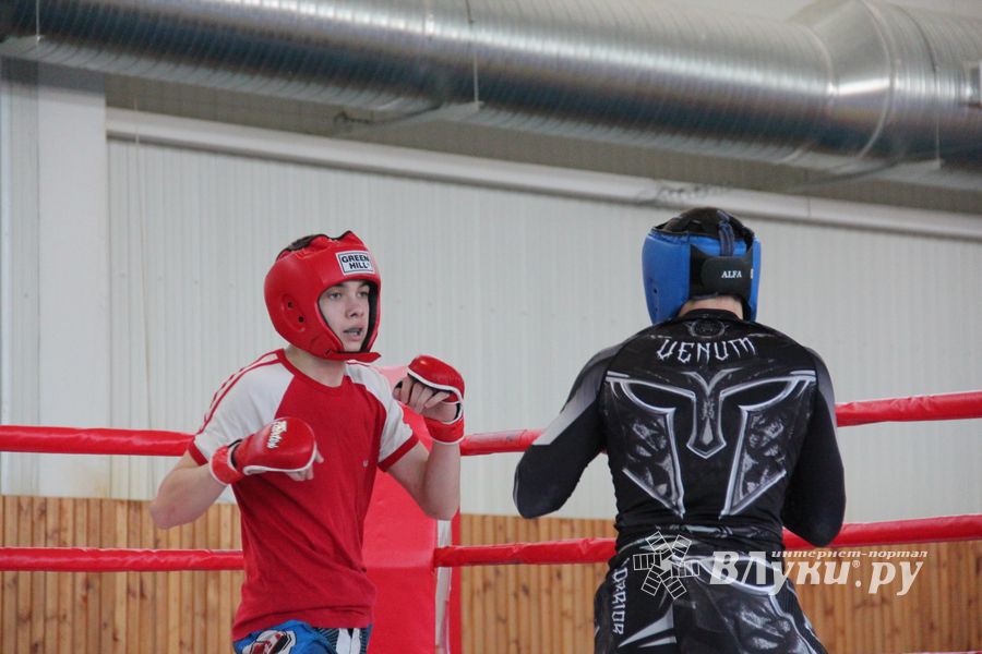 В Великих Луках проходит открытый кубок по смешанному боевому единоборству ММА (ФОТО) (12+)