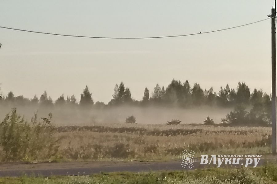 ©ВЛуки.ру