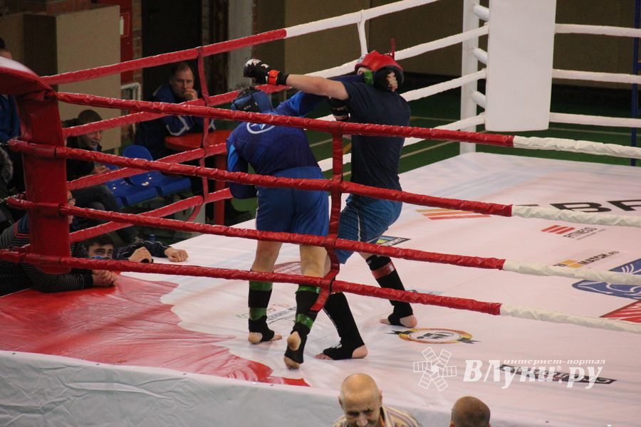 В Великих Луках прошел международный открытый Кубок по смешанному боевому единоборству (ФОТО) (16+)