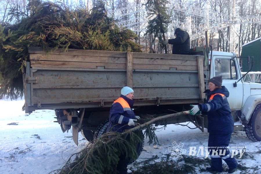 Главная ёлка города попрощалась с великолучанами (ФОТО)