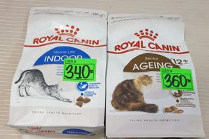 1 марта - ваш кот заслуживает подарок