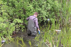 «Партия Дела» делает дело