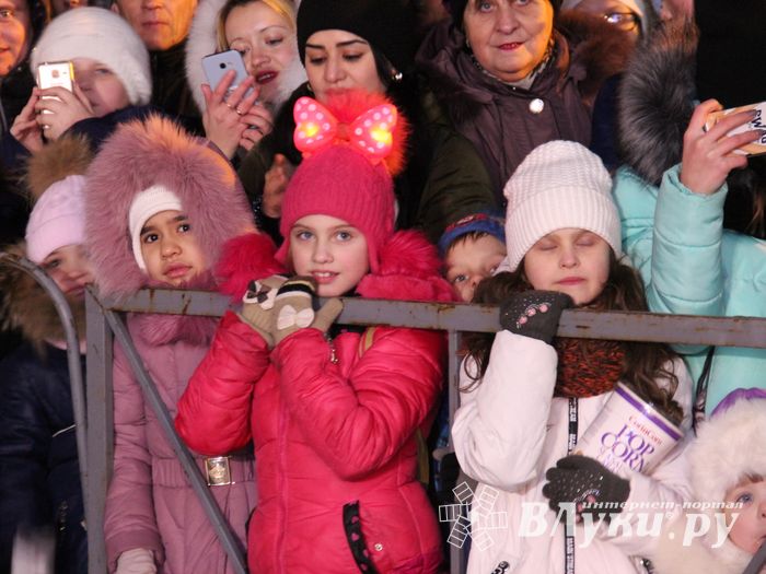 В Великих Луках петуха сменили на собак (ФОТО)