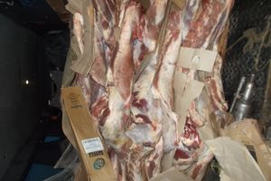 В Псковской области задержано 2 тонны белорусской говядины (ФОТО)