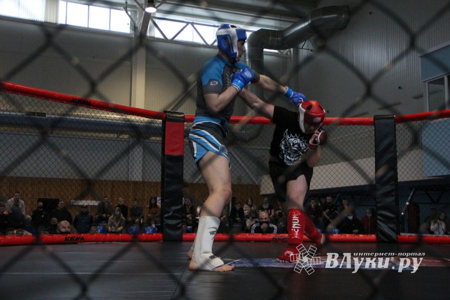 В Великих Луках прошел кубок по смешанному боевому единоборству (ФОТО)