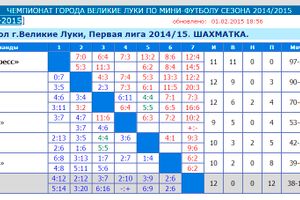 Команда «Статус-Пресс» стала чемпионом г. Великие Луки по мини-футболу (фото)