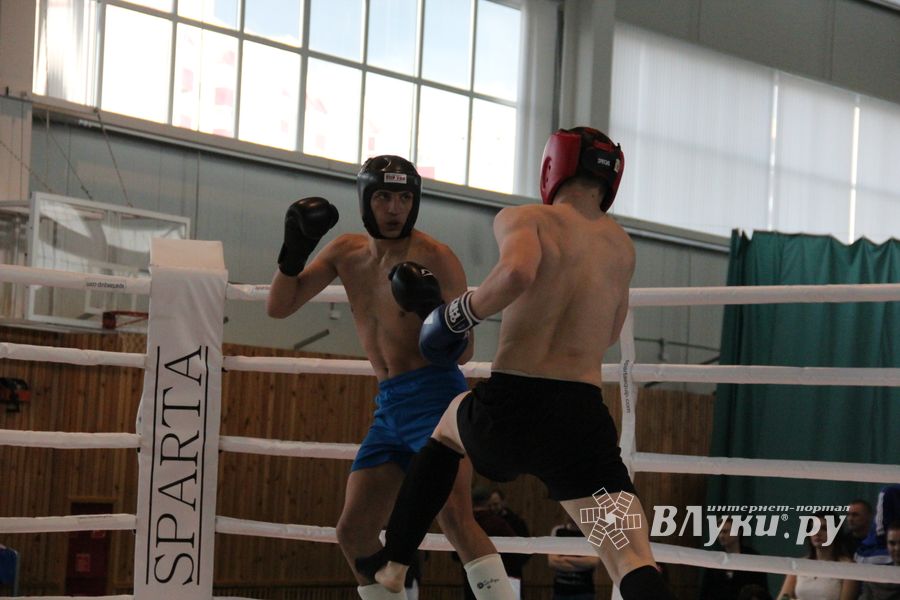 В Великих Луках прошел Кубок области по кикбоксингу (ФОТО)