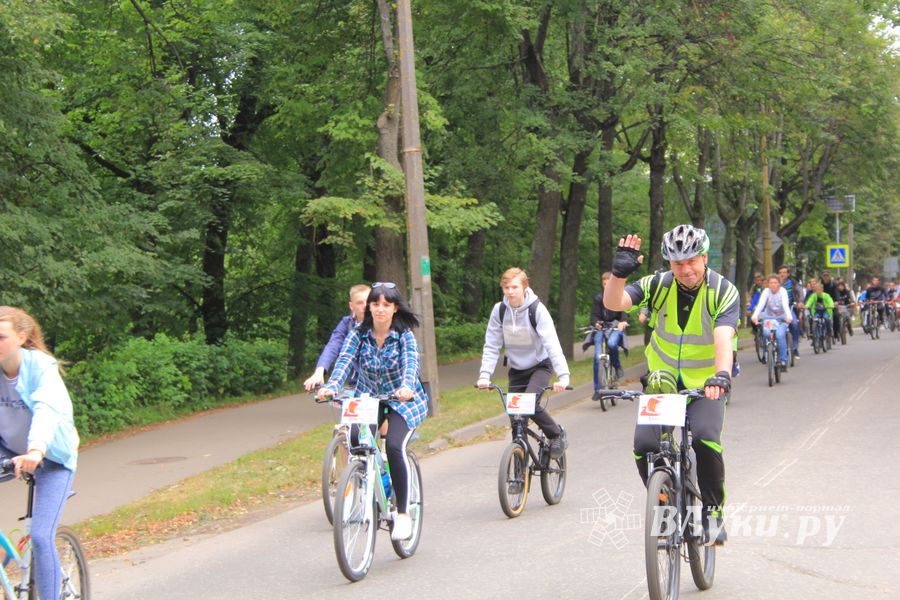 В Великих Луках прошёл Велопарад (ФОТО)