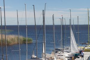 В Псковской области стартовала международная парусная регата (фото)