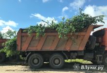 Дачников Великих Лук порадовали районные дорожники (ФОТО)