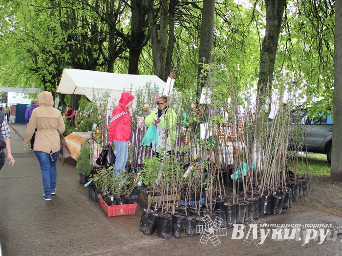 В Пскове проходит 22-ая универсальная выставка (фото)