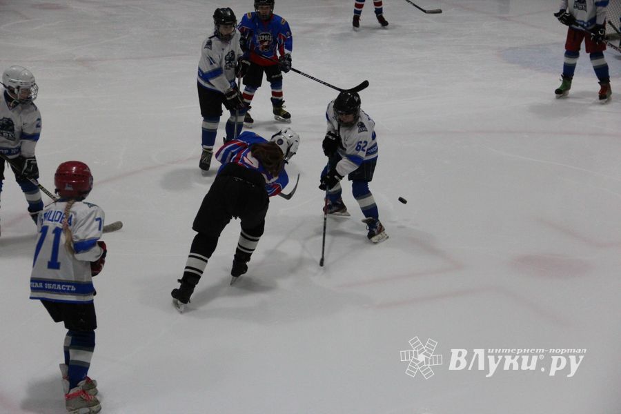 В Великих Луках прошел детский Открытый турнир по хоккею (ФОТО)