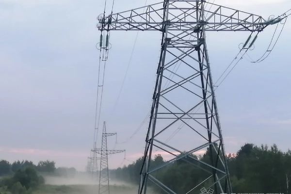 В Псковской области после урагана продолжаются активные восстановительные работы