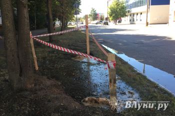 Октябрский проспект д. 7 затополо (фото)