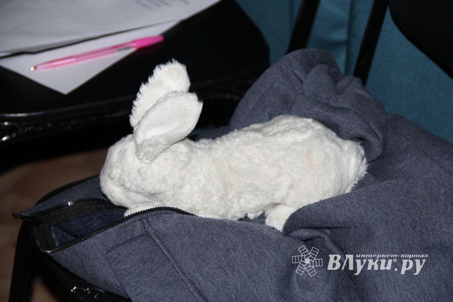 Участники медиапроета «Новые Голоса ДЕТИ на Новом Радио Великие Луки» записали видеоролики (ФОТО)