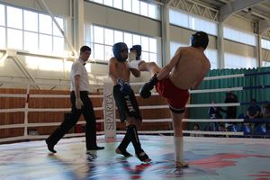 В Великих Луках прошел Кубок области по кикбоксингу (ФОТО)