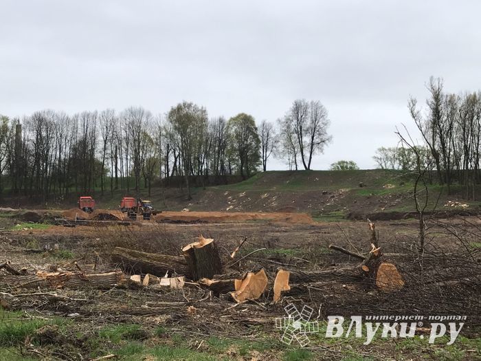 В будущем Петровском парке завершается очередной этап работ (ФОТО)