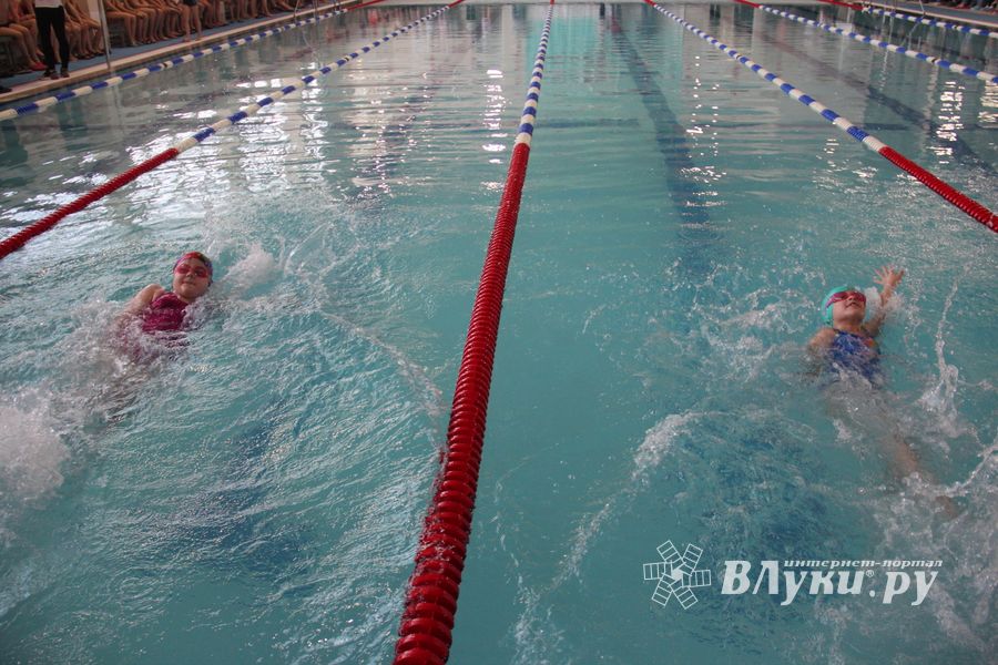 В «Айсберге» прошло Первенство города по плаванию (ФОТО)