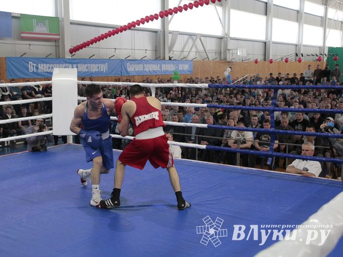 Матчевая встреча по боксу Великие Луки —Псков — Грозный (ФОТО)