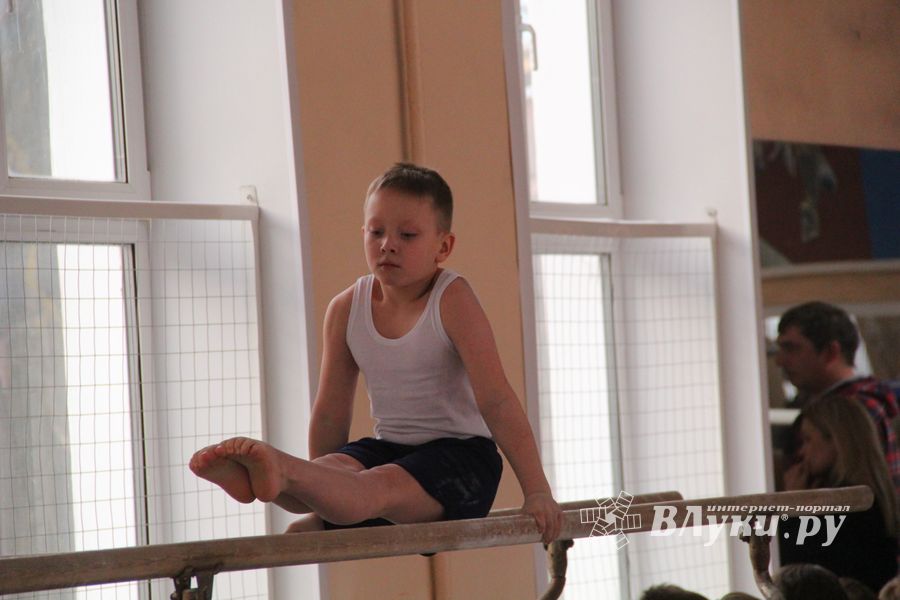 В ДЮСШ «Атлетика» прошли соревнования по спортивной гимнастике (ФОТО)