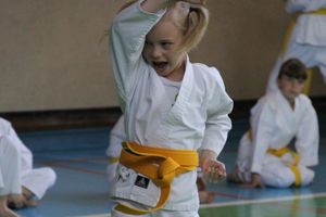 Турнир по каратэ