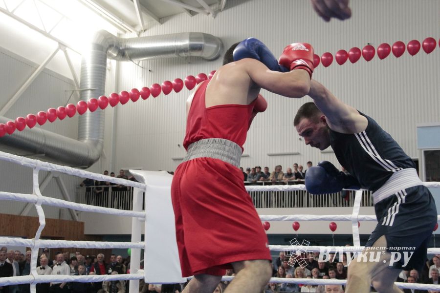 Матчевая встреча по боксу Великие Луки —Псков — Грозный (ФОТО)