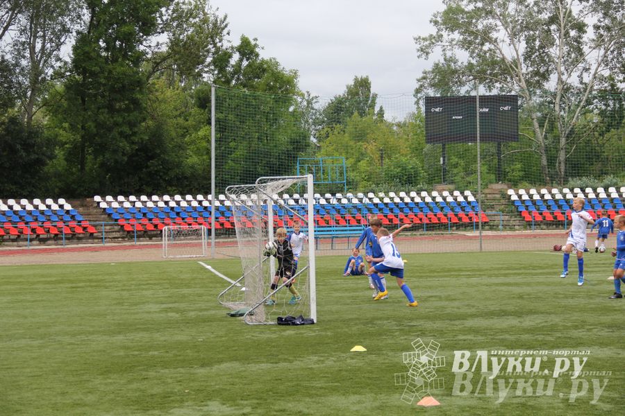 В Великих Луках состоялся Всероссийский турнир «Загрузи себя футболом» (фото)
