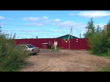 Импульс-ТВ: Будни приюта для животны