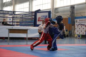 В Великих Луках проходит Кубок по кикбоксингу (ФОТО) (0+)