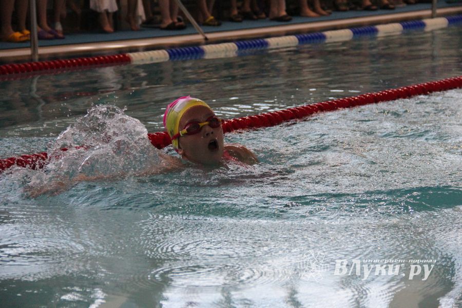 В «Айсберге» прошло Первенство города по плаванию (ФОТО)