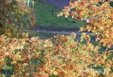 Прогноз погоды на 20 сентября в Великих Луках