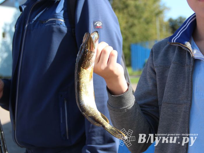 Большой спортивный праздник в Великих Луках (ФОТО)