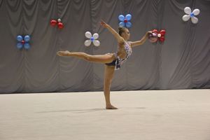 В Великих Луках проходит Кубок Псковской области по художественной гимнастике (ФОТО) (0+)