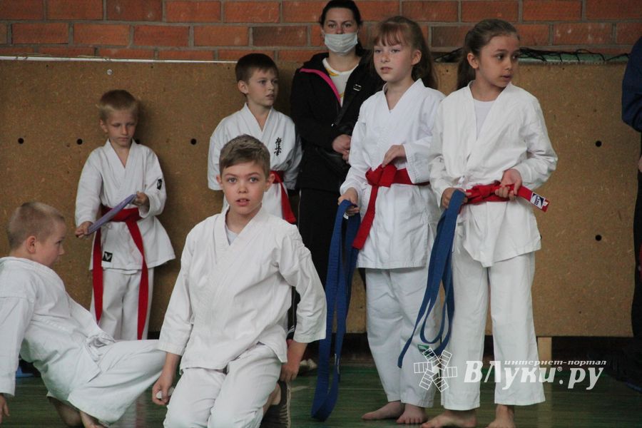 Открытый Кубок города Великие Луки по каратэ WKF (ФОТО)