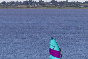 В Псковской области стартовала международная парусная регата (фото)