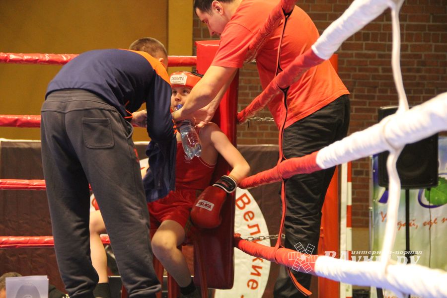 В Великих Луках проходят соревнования по боксу памяти Е.А. Клевцова (фоторепортаж)