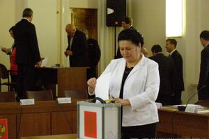 Выбор главы администрации Великих Лук