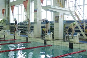 В Великих Луках прошел Чемпионат и Кубок города по плаванию (фото)