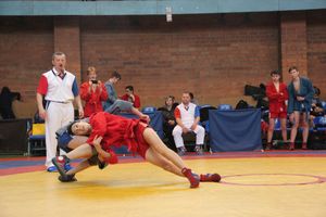 В Великих Луках прошли соревнования по самбо (ФОТО)