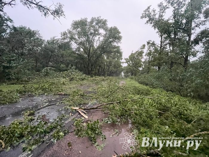 Весь ужас вчерашнего урагана в Великих Луках и районе (ФОТО, ВИДЕО)