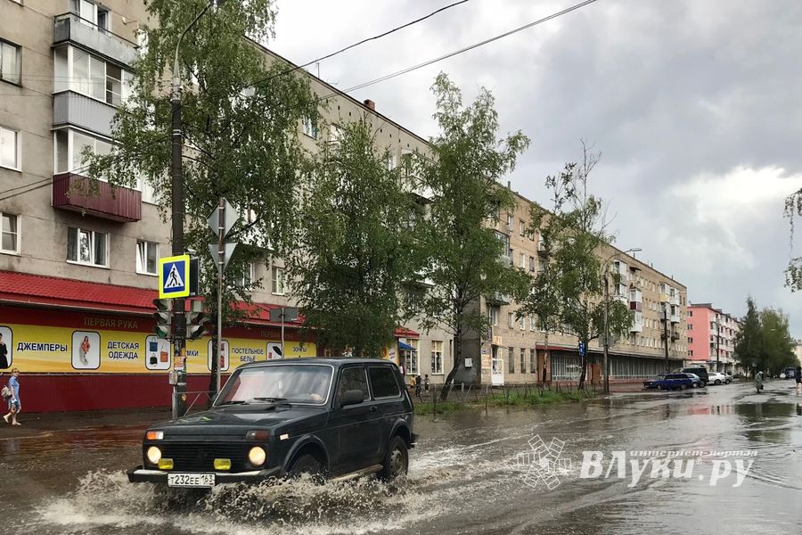 Луки в лужах (ФОТО)