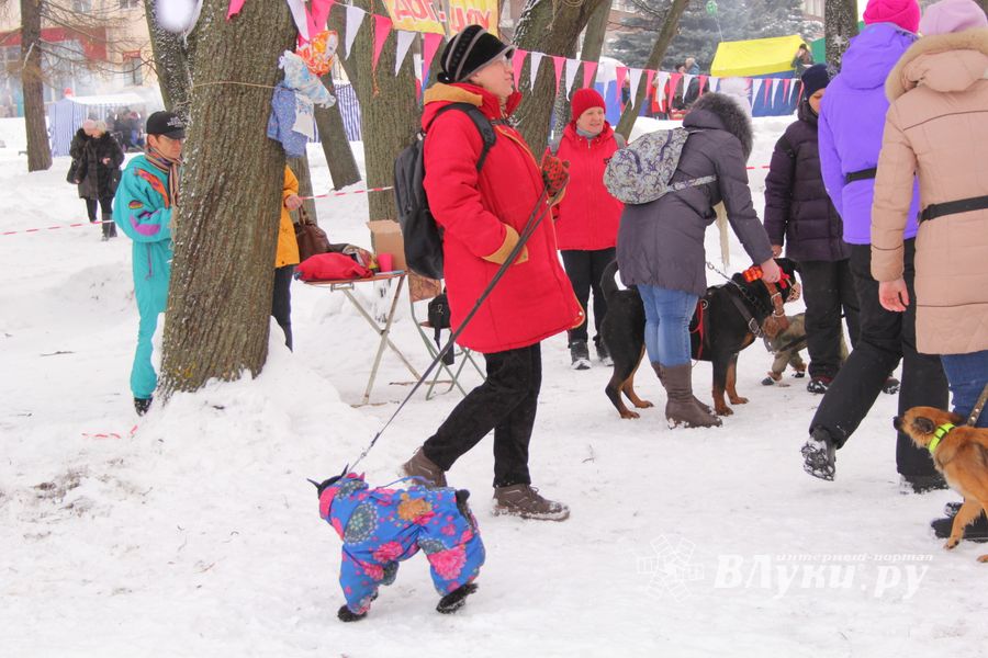 В Великих Луках прошел праздник Масленицы (ФОТО)