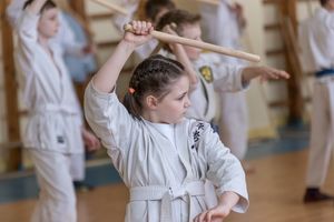 Ученики школы Дзюшин-рю кэмпо каратэ постигали искусство кобудзюцу (ФОТО)