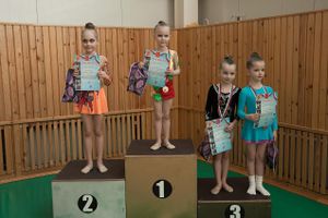 В Великих Луках прошло ​Открытое первенство города по художественной гимнастике (фото)