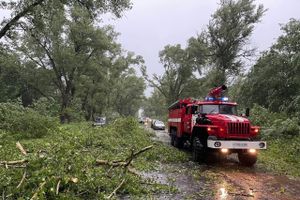 Весь ужас вчерашнего урагана в Великих Луках и районе (ФОТО, ВИДЕО)