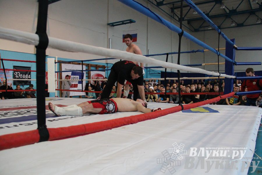 Открытый Кубок города Великие Луки по смешанному боевому единоборству (ММА)