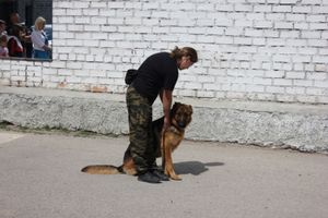 Псковские полицейские пригласили в гости детей из подшефного детдома (фото)