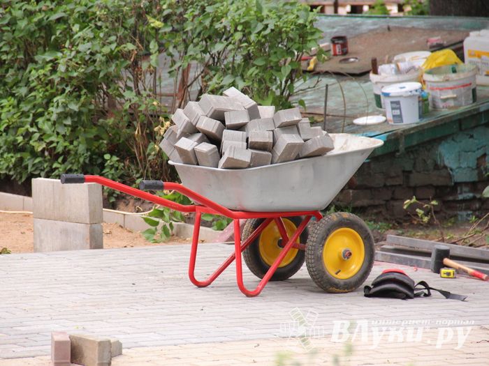 В Великих Луках сажают, стригут и красят (ФОТО)